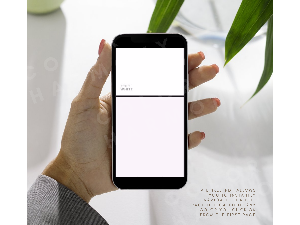 True (Cool) Winter Digital Color Palette